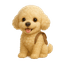 OAFR
