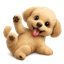 OPIR