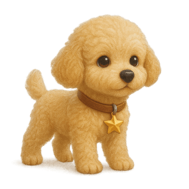 SAFR avatar