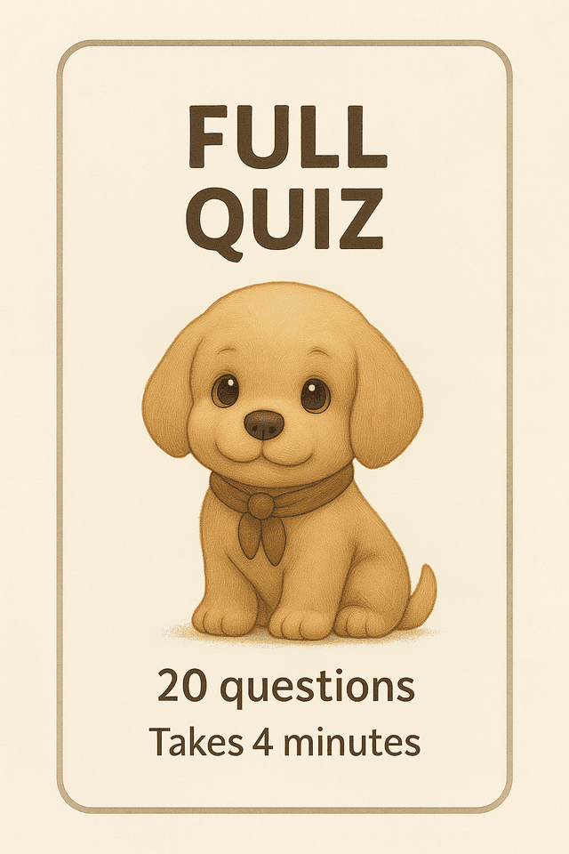 Full Quiz
