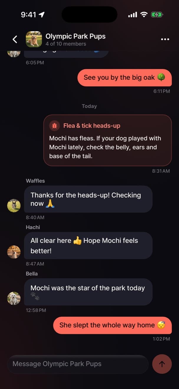 Pack chat with messages from Waffles, Hachi and Bella
