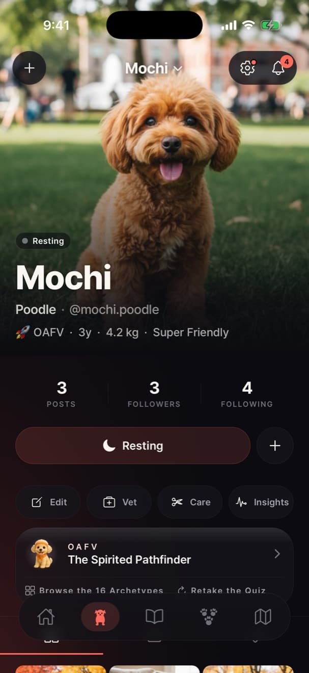 A dog profile for Mochi the poodle with posts, followers and personality type