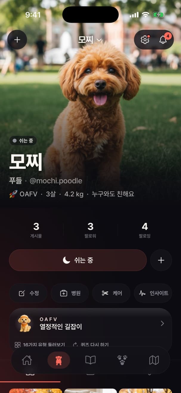 게시물, 팔로워, 성격 유형이 보이는 푸들 모찌의 프로필